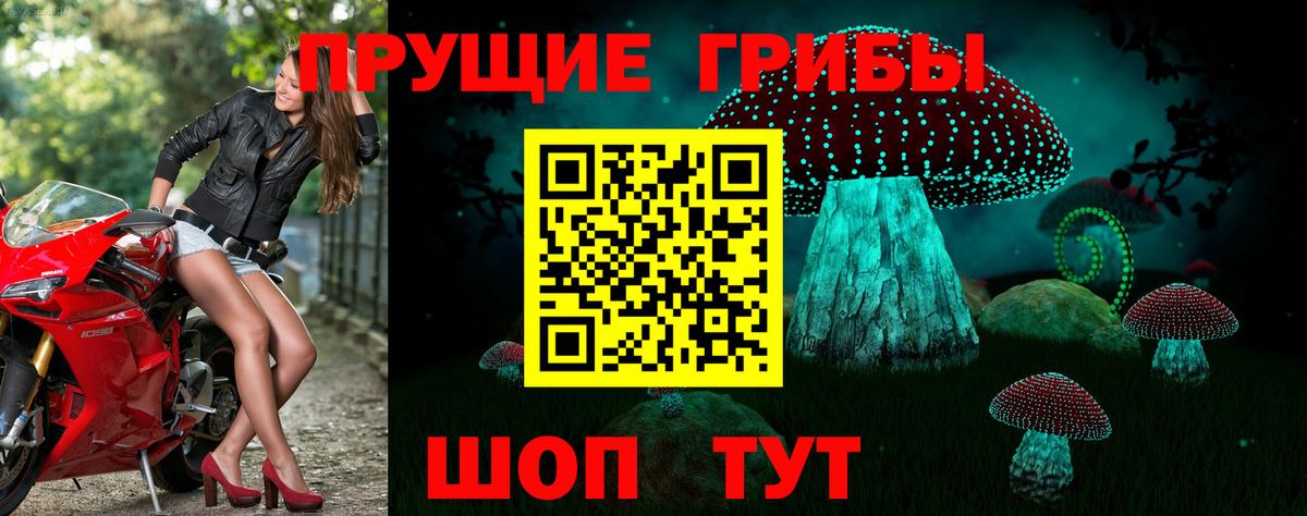 Югорск  Галлюциногенные грибы Psilocybine cubensis  Вход с VPN 